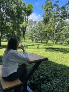 The Tea Room at Wah