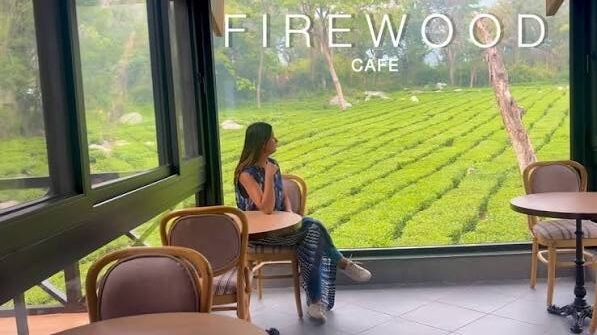 Firewood Cafe and Bar